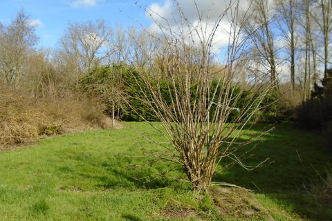 Farm hus i Hesdin, Pas-de-Calais, Hesdin - € 76.000 | Ref: AF93 - foto 2